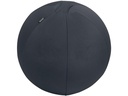 Leitz Ergo Active Sitzball 55 cm