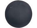 Leitz Ergo Active Sitzball 65 cm