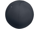 Leitz Ergo Active Sitzball 75 cm