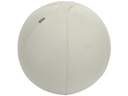Leitz Ergo Active Sitzball 55 cm