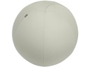 Leitz Ergo Active Sitzball 75 cm