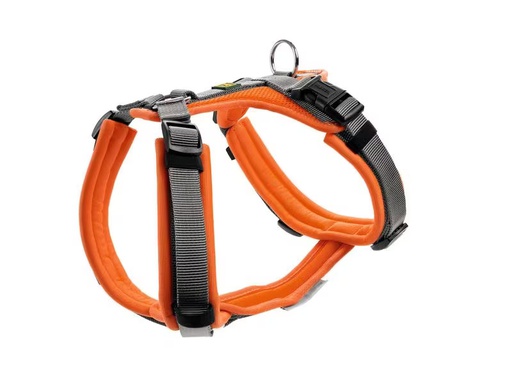 [90316128 1561470] Hunter Geschirr Maldon, XS, Orange/Grau