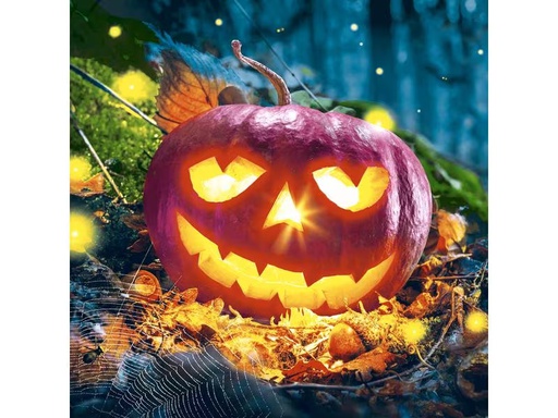 [90316735 1599244] Paper + Design Servietten Pumpkin Night 33 cm x 33 cm, 20 Stück