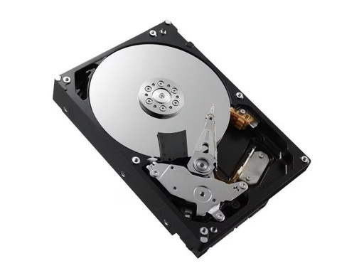 [90319838 1629247] DELL Harddisk 161-BBZU 3.5 SATA 1 TB