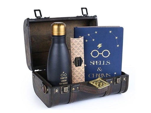 [90323370 1613070] Pyramid Harry Potter Geschenkbox Trouble Finds Me
