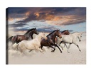 Wallxpert Bild Pferde 50 x 70 cm