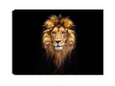 Wallxpert Bild Lion 50 x 70 cm