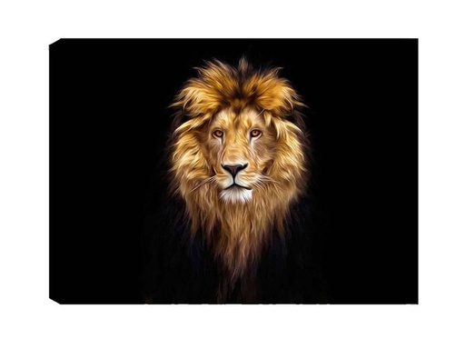 [90325960 1642137] Wallxpert Bild Lion 50 x 70 cm