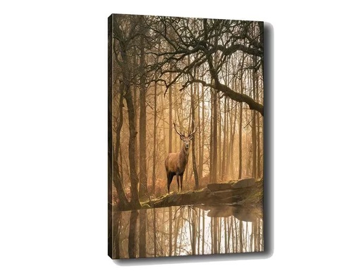 [90326046 1642135] Wallxpert Bild Hirsch 50 x 70 cm