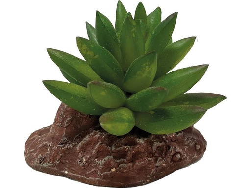[90326565 1641857] Repto Deco Plant Aloes, 10 cm