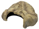 Repto Deco Cave XL, 37 x 29 x 17 cm