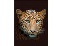 Hubatka Decke Leopard 150 x 200 cm, Braun