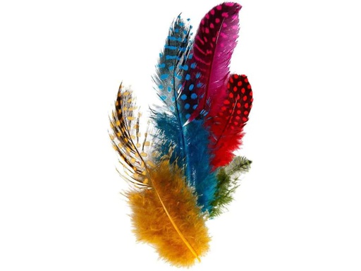 [90053096 700937] Creativ Company Federn Perlhuhn Mehrfarbig