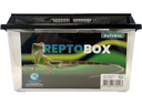 Repto Kunststoffterrarium Breedingbox M, 27 x 17 x 16 cm