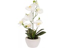 Botanic-Haus Kunstpflanze Phaleanopsis im Topf 67 cm