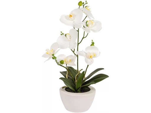 [90332065 1658649] Botanic-Haus Kunstpflanze Phaleanopsis im Topf 67 cm