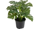 Botanic-Haus Kunstpflanze Philodendron im Topf 28 cm