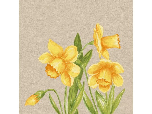 [90333688 1665784] Paper + Design Papierservietten Daffodil 33 cm x 33 cm, 25 Stück