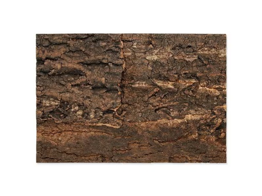 [90334593 1643441] Repti Planet Kork-Rück Wand 28.5 x 41 x 2 cm