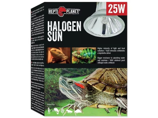 [90334606 1643395] Repti Planet Terrarienlampe Halogen Spot 25 W