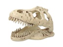 Repti Planet Dekoschädel T-Rex