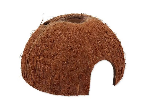 [90334691 1643422] Repti Planet Coco Schale L
