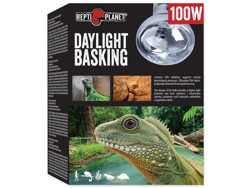 [90334743 1643385] Repti Planet Daylight Basking Spot 100 W