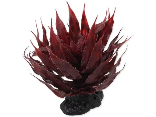 [90334767 1643361] Repti Planet Sukulent Agave Red, 18 cm