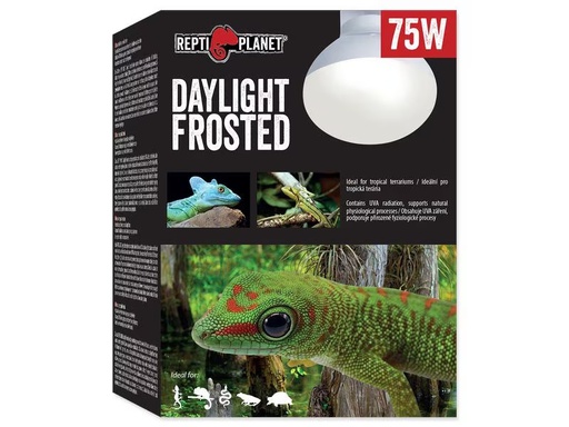 [90334937 1643393] Repti Planet Terrarienlampe Daylight Frosted 75 W