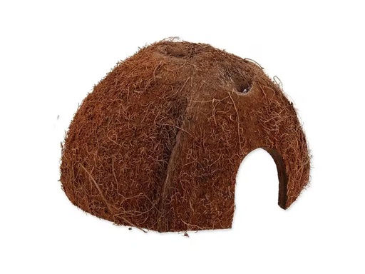 [90334942 1643421] Repti Planet Coco Schale M