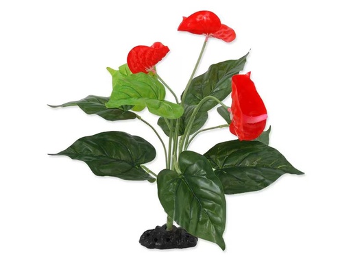 [90335015 1643362] Repti Planet Anthurium, 40 cm