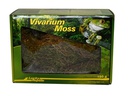 Lucky Reptile Bodensubstrat Vivarium Moss 150 g