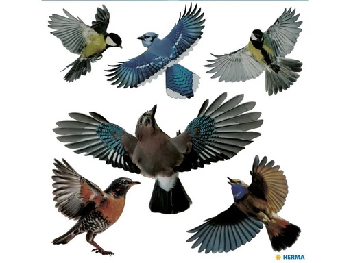 [90336252 1677963] Herma Stickers Motivsticker Warnvögel 6 Stickers, wetterfest
