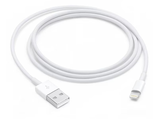 [90337989 1691511] Apple USB 2.0-Kabel USB A - Lightning 1 m