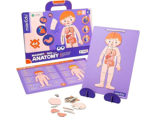 [90338953 1685546] mierEdu Kinderspiel Magnet Pad – Menschliche Anatomie