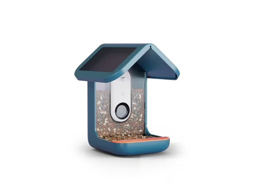 [90339092 1690268] Birdbuddy Futterspender Bird Buddy mit Kamera