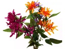 CHALET Kunstblume Geissblatt 87 cm