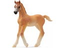 Schleich Spielzeugfigur Horse Club Araber Fohlen