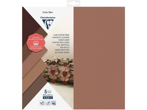 [90344009 1696979] Clairefontaine Bastelpapier 5 Blatt, zum Plotten