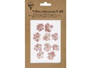 Clairefontaine Trockenblumen Rosa