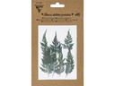 Clairefontaine Trockenblumen Farn