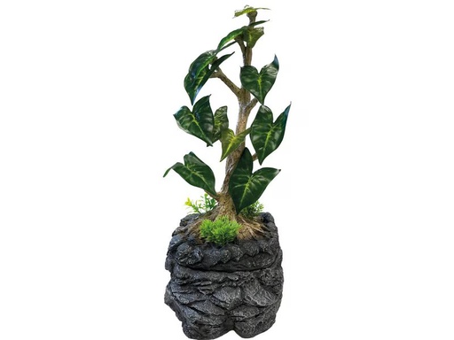 [90346155 1701327] Repto tropfender Baum