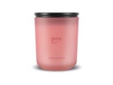 ipuro Duftkerze Orchidee 270 g