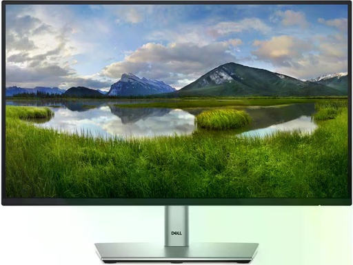 [90347542 1705117] DELL Monitor P2225H