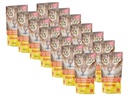 Josera Soup Huhn mit Karotte & Spinat 16 x 70g