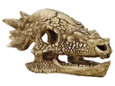 SuperFish Dekoration Schädel T-Rex M