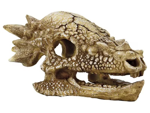 [90349638 1707585] SuperFish Dekoration Schädel T-Rex M