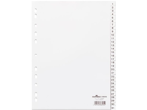 [90055105 1096541] DURABLE Register A4 1-31, mit Indexblatt