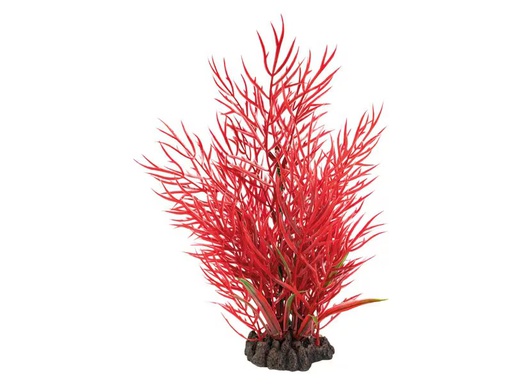 [90349666 1707611] SuperFish Kunstpflanze Ludwigia, 25 cm
