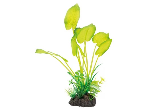 [90349679 1707610] SuperFish Kunstpflanze Echinodorus, 25 cm